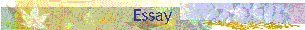 Essay