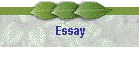 Essay